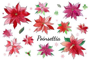 Suluboya desenli Noel aroması seti. Tatil dekorasyonu. Kartpostallar, selamlar, kartlar, logolar için. El yapımı tasarım elementleri. Şenlikli arkaplan.