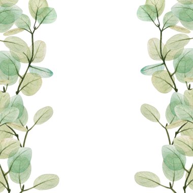 Suluboya okaliptüs yaprağı şablonu. El çizimi bahar ve yaz dekoratif çizimleri. Düğün, doğum günü ve sevgililer günü resmi. Tebrik kartları, davetiyeler, çiçek tasarımı için. Çiçek dekorasyonu.                                 