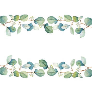 Suluboya okaliptüs yaprağı şablonu. El çizimi bahar ve yaz dekoratif çizimleri. Düğün, doğum günü ve sevgililer günü resmi. Tebrik kartları, davetiyeler, çiçek tasarımı için. Çiçek dekorasyonu.                                 