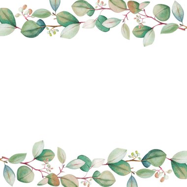 Suluboya okaliptüs yaprağı şablonu. El çizimi bahar ve yaz dekoratif çizimleri. Düğün, doğum günü ve sevgililer günü resmi. Tebrik kartları, davetiyeler, çiçek tasarımı için. Çiçek dekorasyonu.                                 