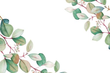 Suluboya okaliptüs yaprağı şablonu. El çizimi bahar ve yaz dekoratif çizimleri. Düğün, doğum günü ve sevgililer günü resmi. Tebrik kartları, davetiyeler, çiçek tasarımı için. Çiçek dekorasyonu.                                 