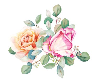 Portakallı suluboya çay ve okaliptüs yapraklı pembe güller. El çizimi bahar ve yaz dekoratif çizimleri. Düğün, doğum günü ve sevgililer günü resmi. Tebrik kartları, davetiyeler, çiçek tasarımı, desenler için.                                 