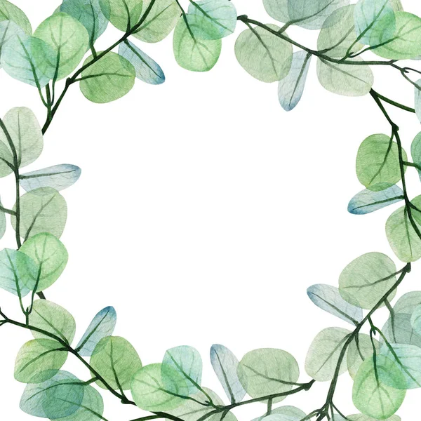 Aquarell Eukalyptusblatt Rahmenschablone Handgezeichnete Dekorative Illustration Für Frühling Und Sommer — Stockfoto