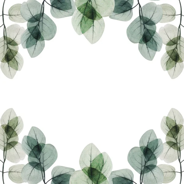 Watercolor Floral Eucalyptus Leaf Frame Template Hand Drawn Spring Summer — Stock Photo, Image