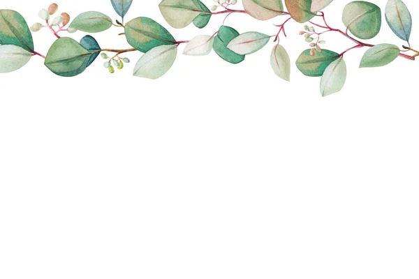 Modèle Cadre Feuille Eucalyptus Floral Aquarelle Illustration Décorative Dessinée Main — Photo