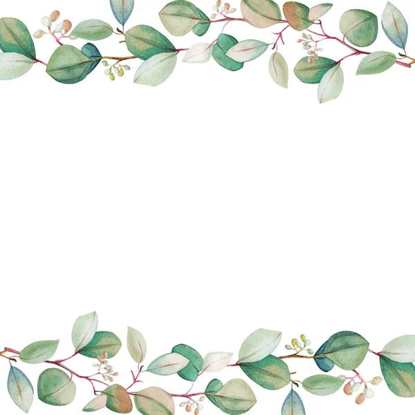 Modelo Moldura Folha Eucalipto Floral Aquarela Mão Desenhada Primavera Verão — Fotografia de Stock
