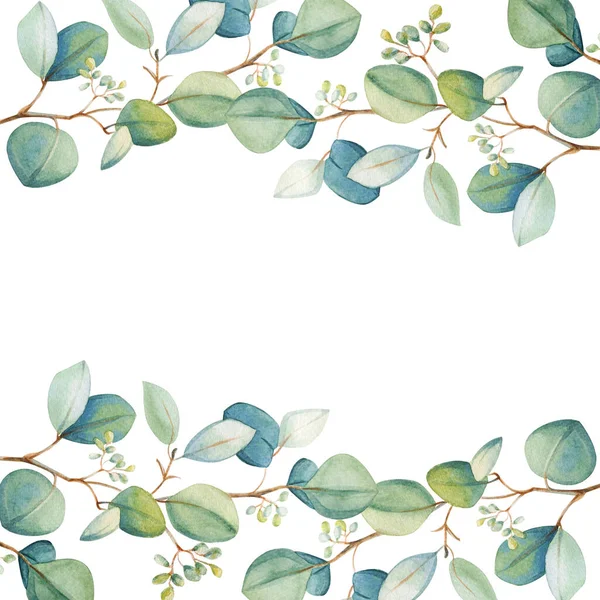 Modèle Cadre Feuille Eucalyptus Floral Aquarelle Illustration Décorative Dessinée Main — Photo