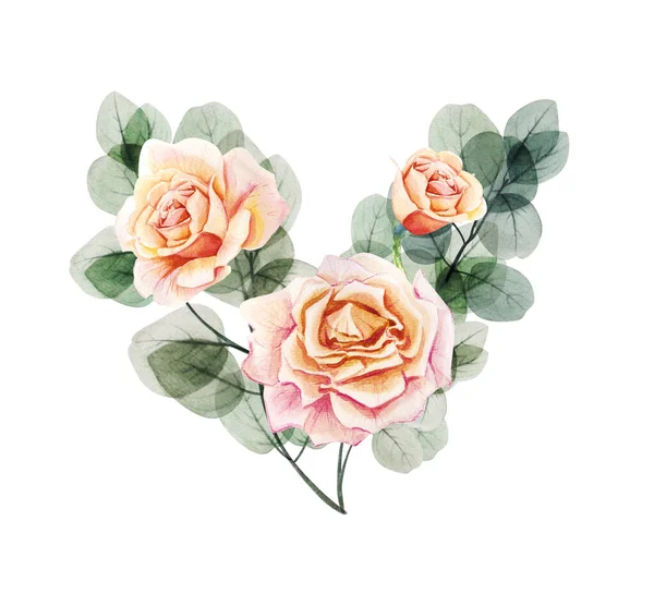 Watercolor Floral Roses Eucalyptus Leaf Branch Heart Hand Drawn Spring — Stock Photo, Image