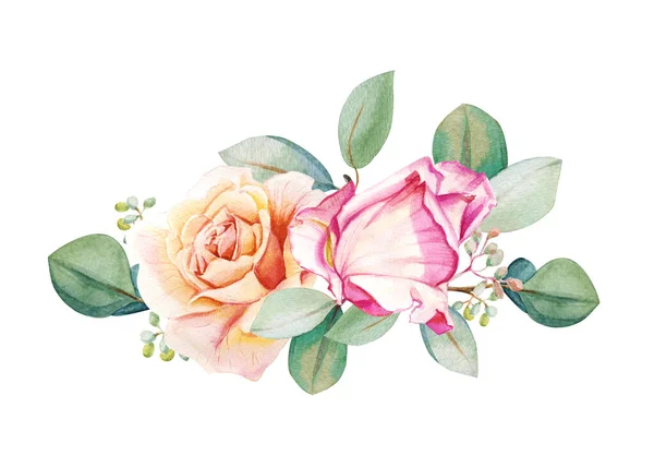 Aquarelle Thé Roses Orange Rose Avec Des Feuilles Eucalyptus Illustration — Photo