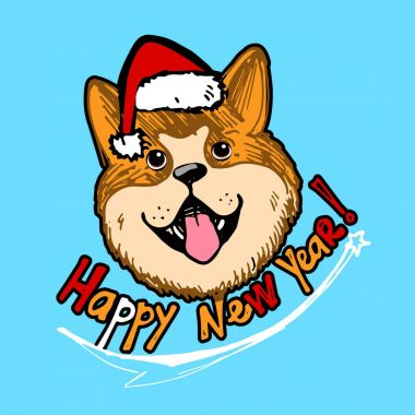 Noel şapkalı köpek.