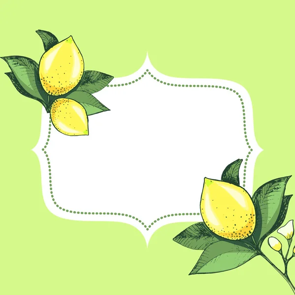 Rahmen Mit Handgezeichneten Zitronen — Stockvektor