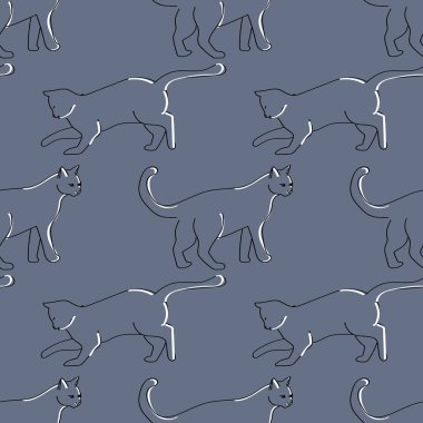 Kedilerde kusursuz desen