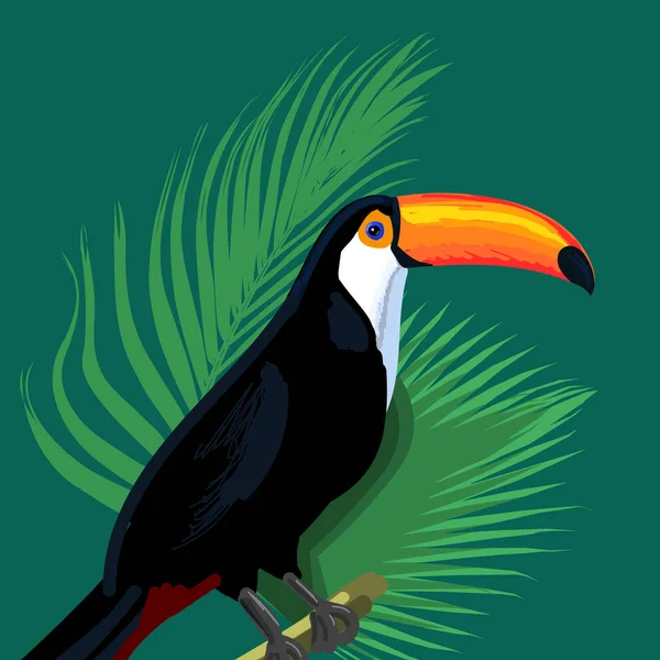 Toucan Mönster Vektorillustration — Stock vektor