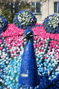 Astana (Nur-Sultan), Kazakistan 08.03.2016: Astana 'da (Nur-Sultan) tavus kuşunun yer aldığı modern heykel, Kazakistan' ın başkenti