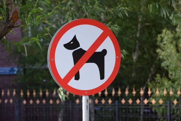 Geen hond wandelen ondertekenen — Stockfoto