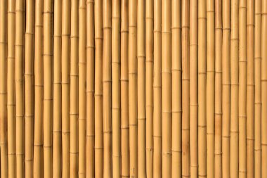 Bambu dokusu arka planı. Bambu arkaplan, doku