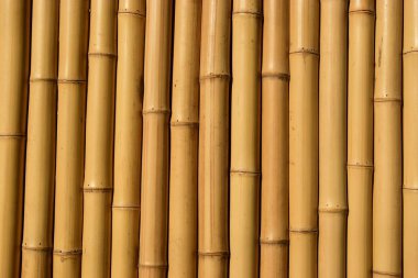Bambu duvar arkaplanı. Bambu duvarı..