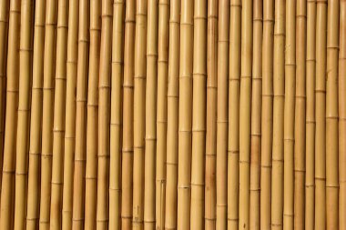 Bambu duvar arkaplan dokusu