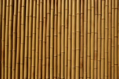 Bambu duvar arkaplanı, bambu