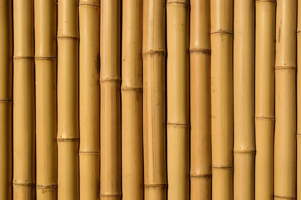 Bambu duvar arkaplan dokusu. Bambu duvar dokusu.