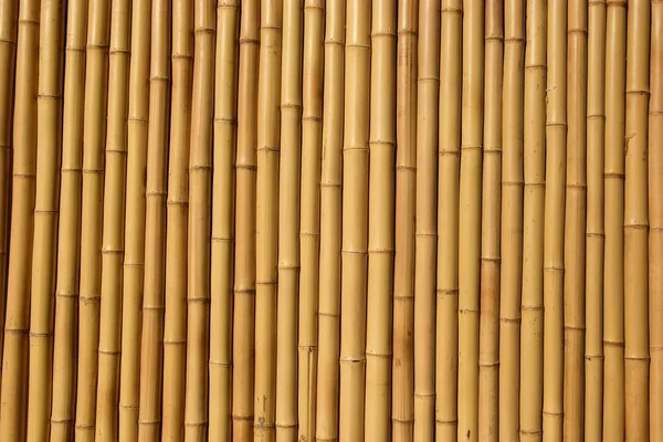 Bambu duvar arkaplan dokusu