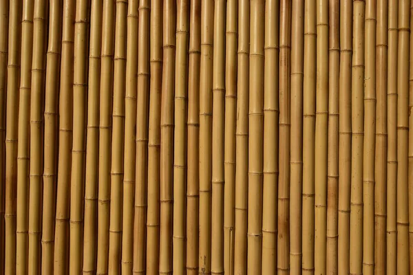 Bambusová Stěna Pozadí Bambus Stock Fotografie