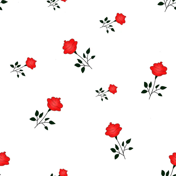 无缝隙的玫瑰图案,红色花朵,白色背景. F — 图库照片