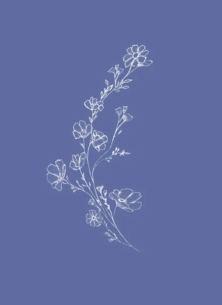 Tree branch with white flowers and leaves, graphic hand drawn, — Stok fotoğraf