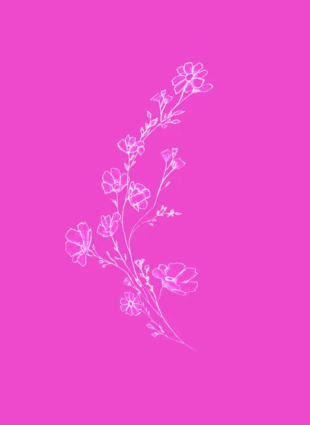 Tree Branch Flowers Leaves Graphic Hand Drawn Blossom Tree Pink — Stok fotoğraf