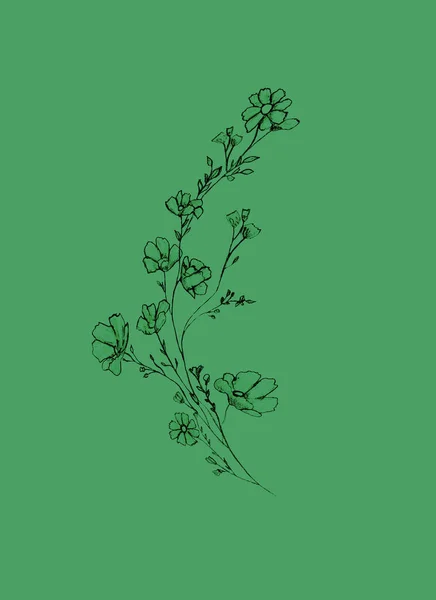 有花和叶子的树枝 图形手绘 绿色背景上的花树 简单的铅笔艺术 — 图库照片