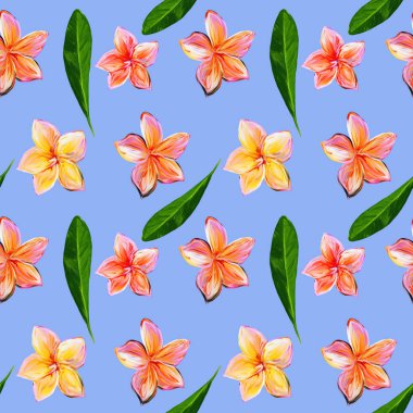Frangipani Plumeria Tropik Çiçekleri. Kusursuz Düzen Arkaplanı. Çiçeksiz tropik yaz çiçeği desenli mavi arka plan yapraklı tesisat çiçekleri.