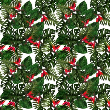 Strelitzia 'lı özgün, kusursuz tropikal desen ve beyaz arka planda yapraklar. Renkli kolocasia yaprakları, filodendron, canavar desenli kusursuz desen. Egzotik duvar kağıdı. Hawaii tarzı..