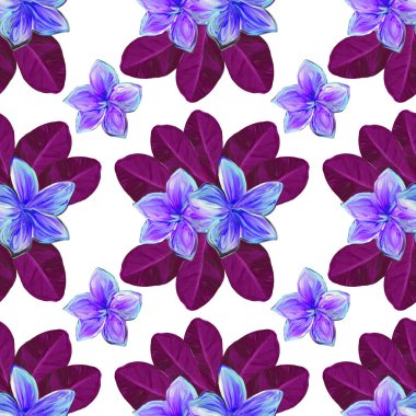 Frangipani Plumeria Tropik Çiçekleri. Kusursuz Düzen Arkaplanı. Tropikal bordo ve menekşe çiçekli yaz çiçekleri dikdörtgen desenli yapraklı tesisat çiçekleri
