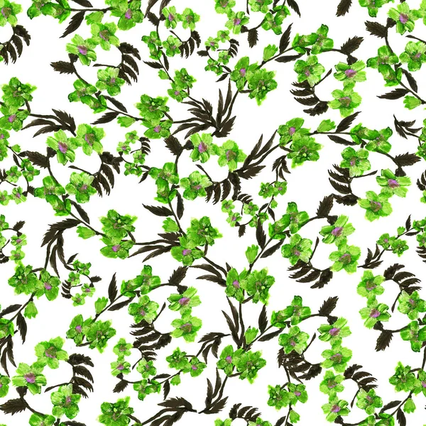 Modello senza soluzione di continuità selvaggio fiore verde e foglie su sfondo bianco. Illustrazione floreale ad acquerello. Elemento decorativo botanico. Concetto di fiore. Concetto botanico — Foto Stock
