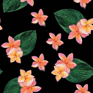 Frangipani Plumeria Tropik Çiçekleri. Kusursuz Düzen Arkaplanı. Çiçeksiz tropik yaz arkaplanı, yapraklı tesisat çiçekleri..