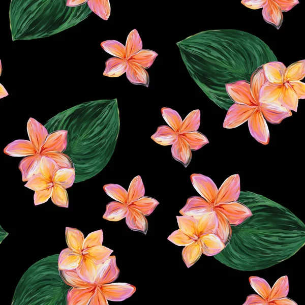 Frangipani Plumeria Tropik Çiçekleri. Kusursuz Düzen Arkaplanı. Çiçeksiz tropik yaz arkaplanı, yapraklı tesisat çiçekleri..