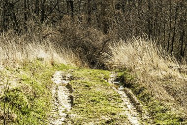 Off-road. Polesie. Ukrayna kırsalında. Çamur ve kil ormandan geçilemez yol, off-road.