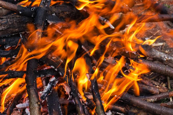 Closeup of blazing campfire, Campfire burning logs in large orange and yellow flames in close up of the wood aflame. Close up of a hot burning fireplace with flames and gloweing ember.