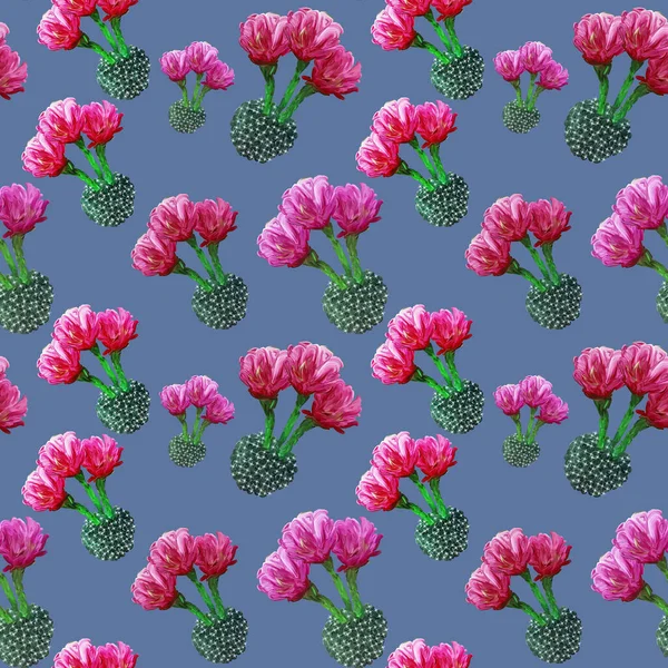 Sømløs Blomstersommer Tropisk Mønster Bakgrunn Med Rosa Blomstrende Kaktuser Sukkulenter – stockfoto