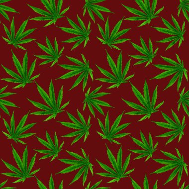 Marihuana gouache desenli. Kenevir esrarı, kırmızı arka planda kenevir yaprakları. Yeşil dumanlı esrar narkotiği.