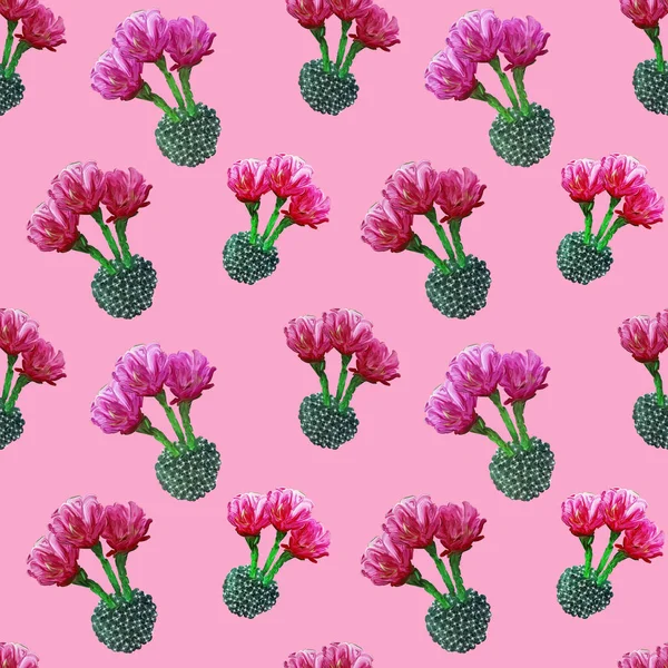 Fondo Patrón Tropical Verano Floral Sin Costuras Con Cactus Florecientes — Foto de Stock