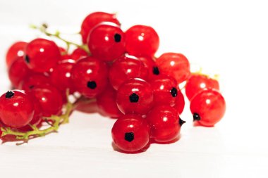 Frenk üzümü suyu. Beyaz arka planda taze kırmızı frenk üzümü, kapatın..