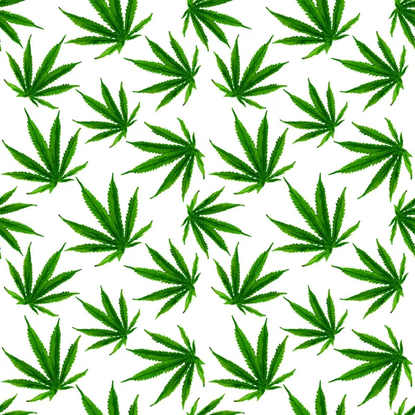 Marijuana Gouache Zökkenőmentes Minta Kendermarihuána Kenderlevél Fehér Háttérrel Zöld Füst — Stock Fotó