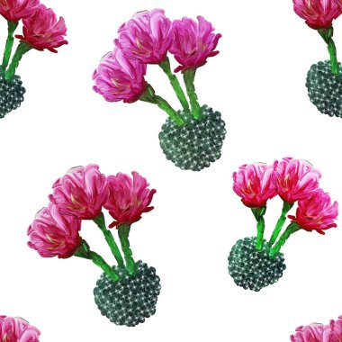 Çiçeksiz yaz çiçekleri çiçek açan kaktüsleri ve beyaz arka planda sulu suları olan tropikal desenli bir arka plan. Duvar kağıtları, web sayfası arkaplanları, yüzey dokuları, tekstil için mükemmel..