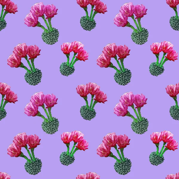 Fondo Patrón Tropical Verano Floral Sin Costuras Con Cactus Florecientes — Foto de Stock