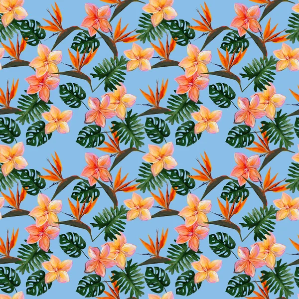 Modèle Tropical Sans Couture Avec Plumeria Strelitzia Avec Des Feuilles — Photo