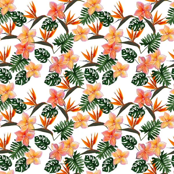 Plumeria ile kusursuz tropikal desen ve beyaz arka planda yaprakları olan strelitzia. Renkli kolocasia yaprakları, filodendron, canavar desenli kusursuz desen. Egzotik duvar kağıdı. Hawaii tarzı..