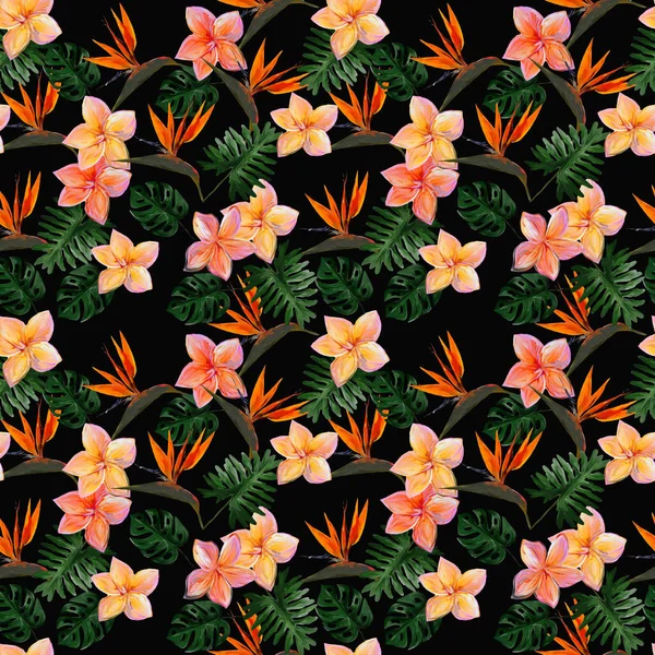 Modèle Tropical Sans Couture Avec Plumeria Strelitzia Avec Des Feuilles — Photo