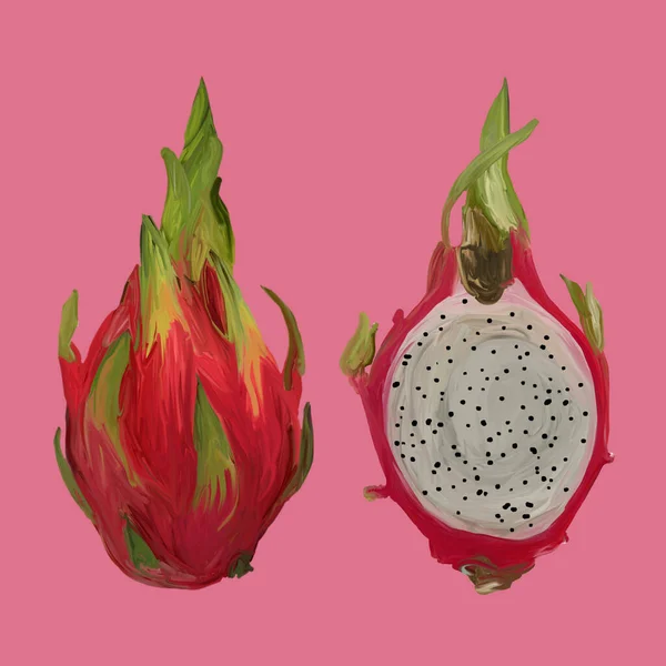 Illustrazione ravvicinata di un drago esotico fresco frutto in guazzo su sfondo corallo. Metà e un primo piano di frutta intera. Varietà Pitahaya bianca e rosa. Frutta asiatica di cactus — Foto Stock