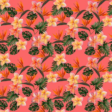 Plumeria ile kusursuz tropikal desen ve mercan zemininde yapraklı strelitzia. Renkli kolocasia yaprakları, filodendron, canavar desenli kusursuz desen. Egzotik duvar kağıdı. Hawaii tarzı..